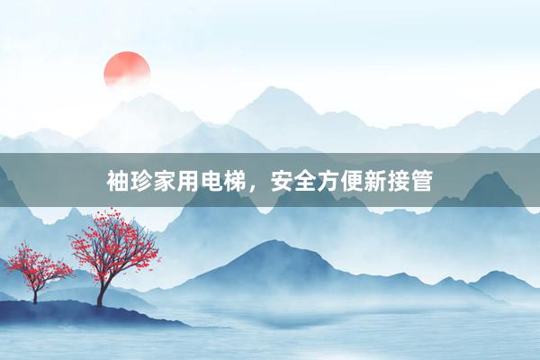 袖珍家用电梯，安全方便新接管