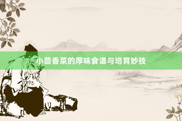 小茴香菜的厚味食谱与培育妙技