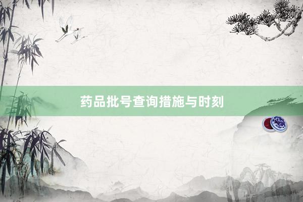 药品批号查询措施与时刻